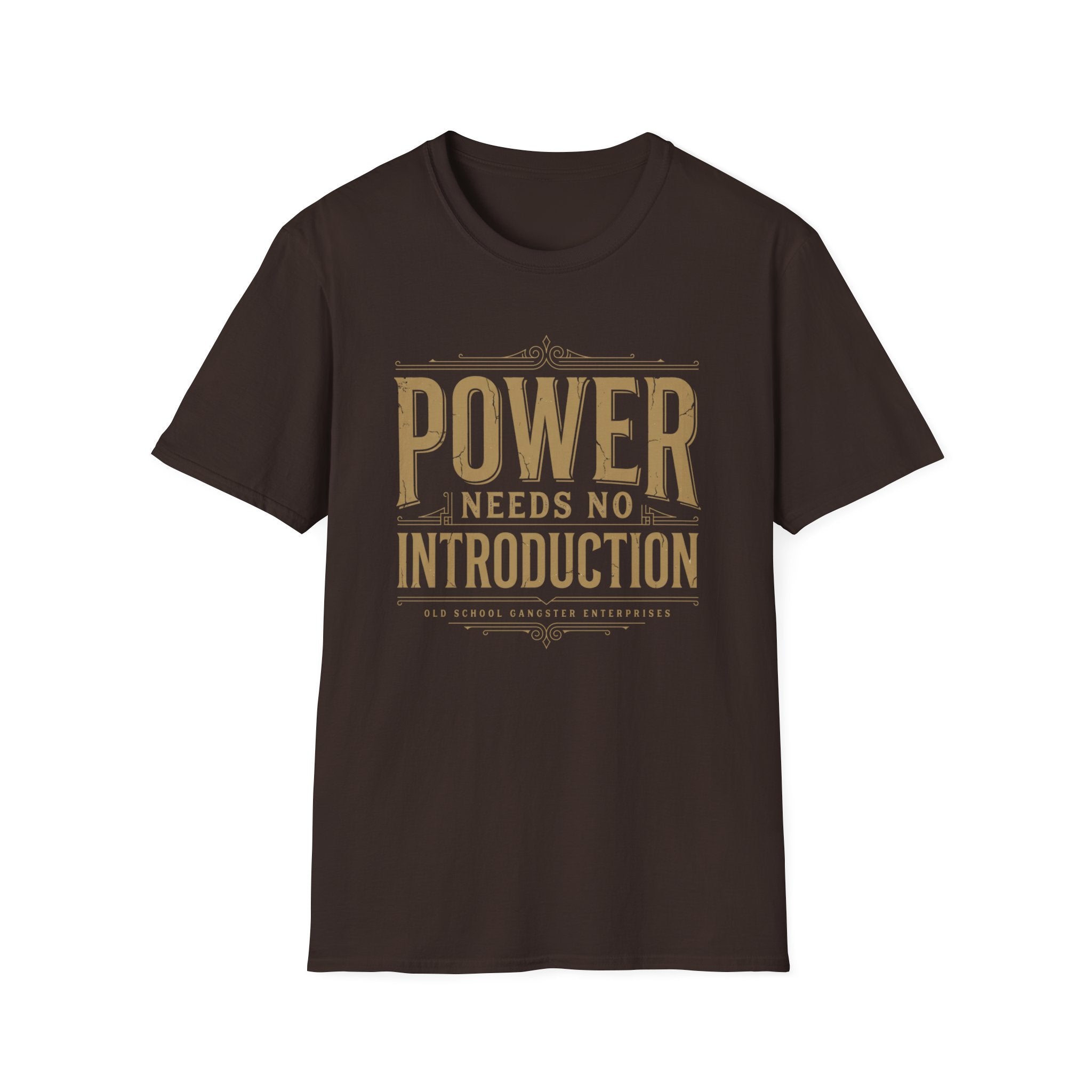 Power Needs No Introduction T-Shirt